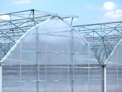 A GREENHOUSE STORY