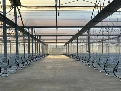 A GREENHOUSE STORY