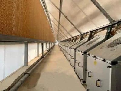 MODERN TOMATO GREENHOUSE