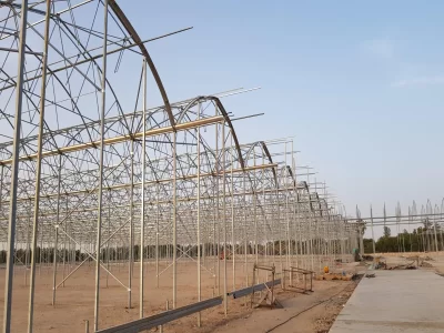 MODERN TOMATO GREENHOUSE