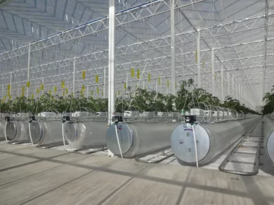 MODERN TOMATO GREENHOUSE
