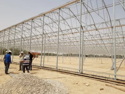 MODERN TOMATO GREENHOUSE