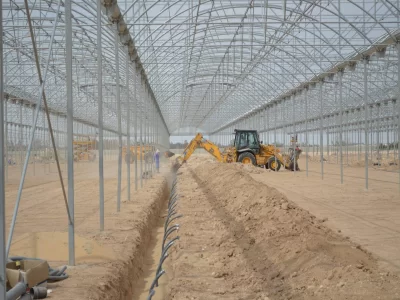 MODERN TOMATO GREENHOUSE