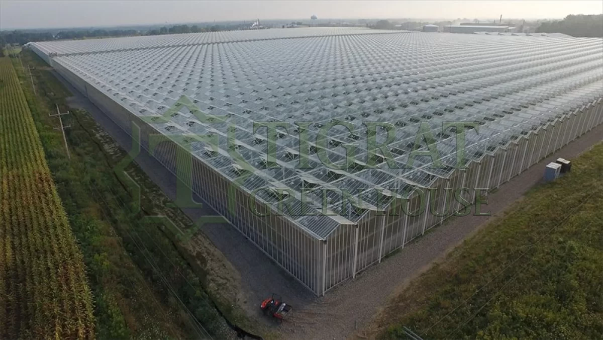 BİR SERA HİKAYESİ 